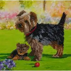 Craft Buddy "Yorkshire Terrier Dogs" Crystal Art Card Kit