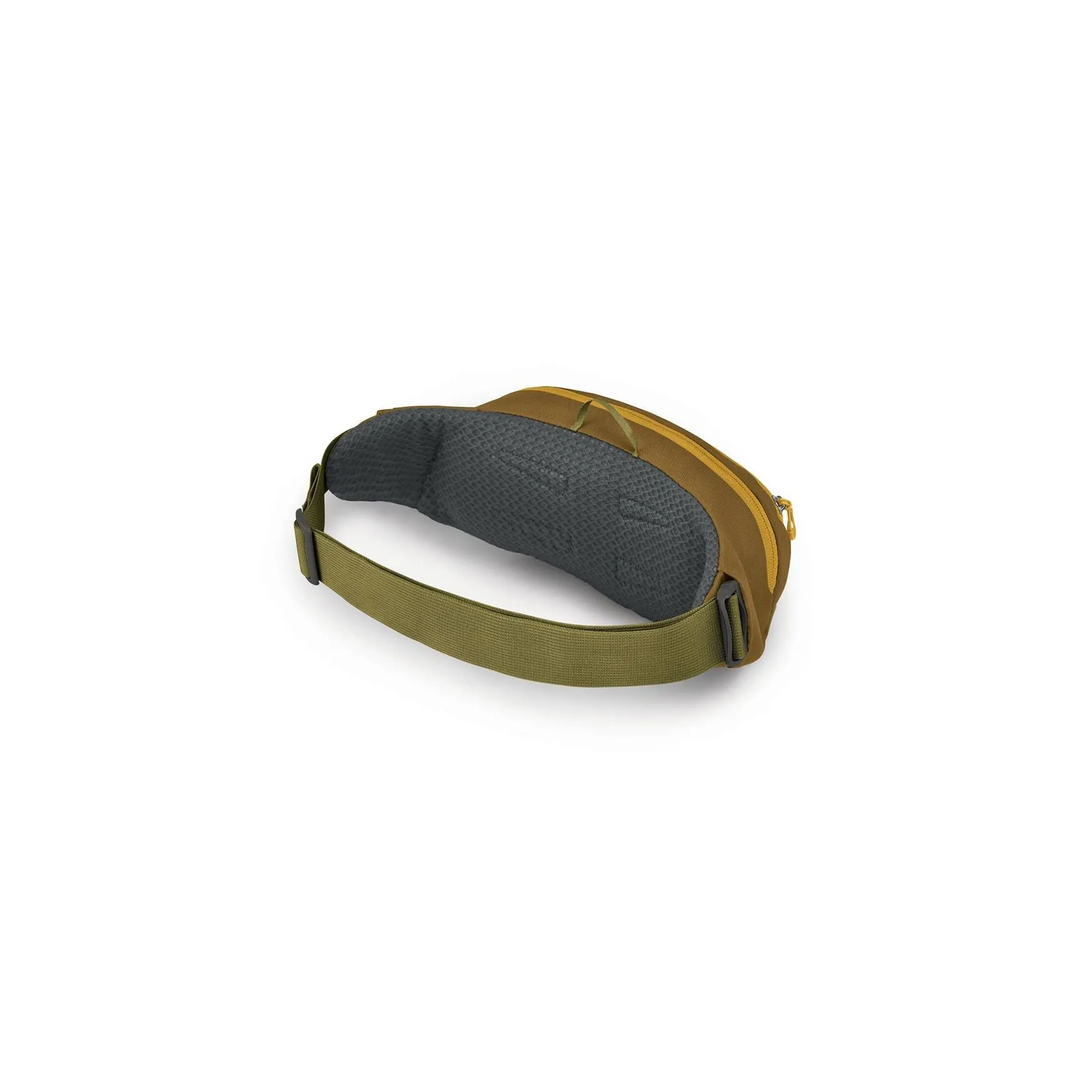 Daylite Waist